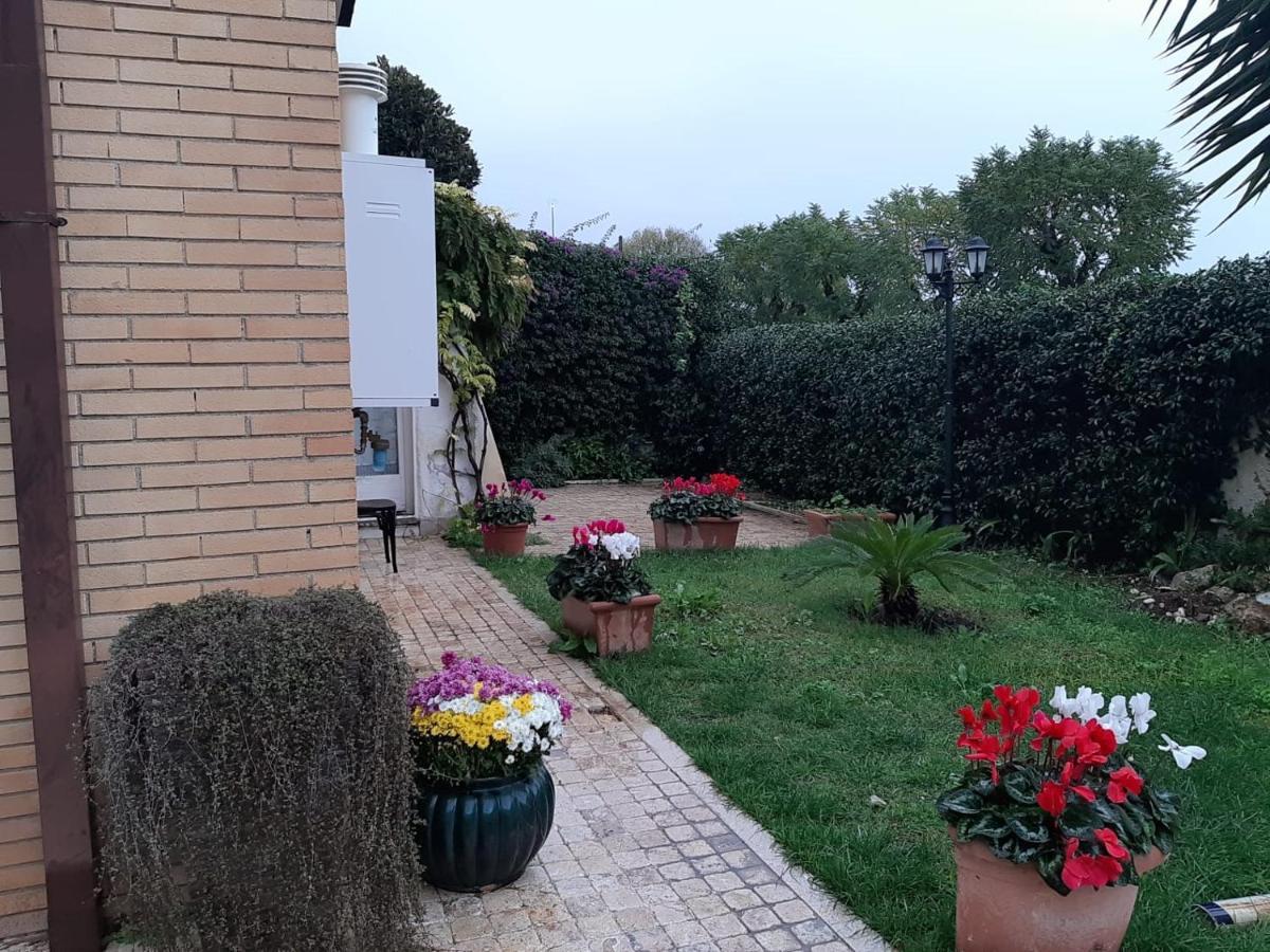 Bed & Breakfast Sofia *